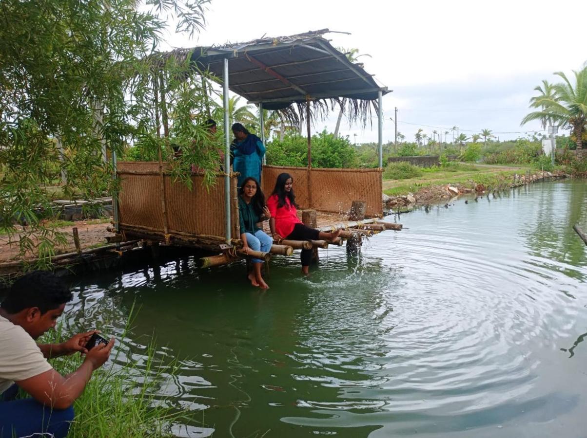 Aqua Green Home Stay Munroe Island Ngoại thất bức ảnh