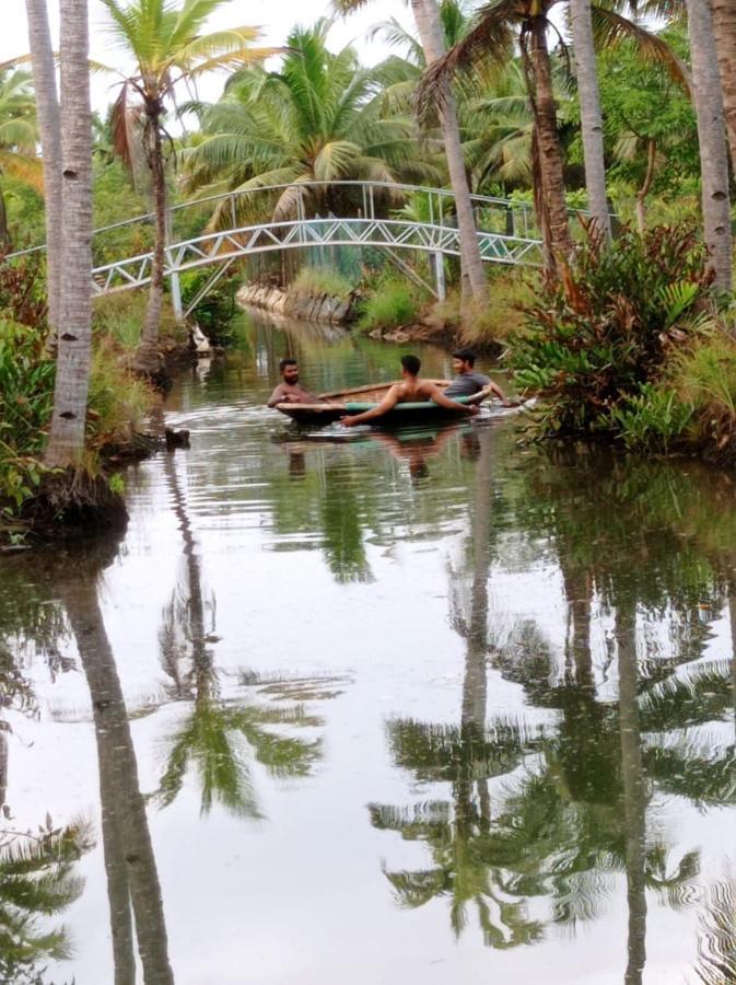 Aqua Green Home Stay Munroe Island Ngoại thất bức ảnh